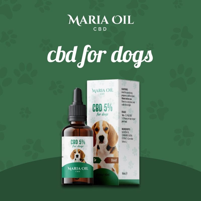 CBD Oil 5% for Dogs - Image 2