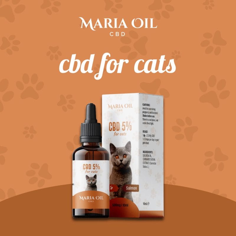 CBD Oil 5% for Cats - Image 2