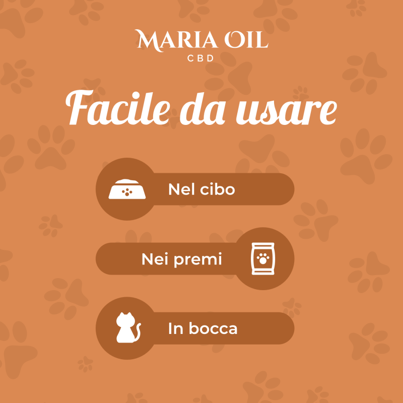 CBD Oil 5% for Cats - Image 3