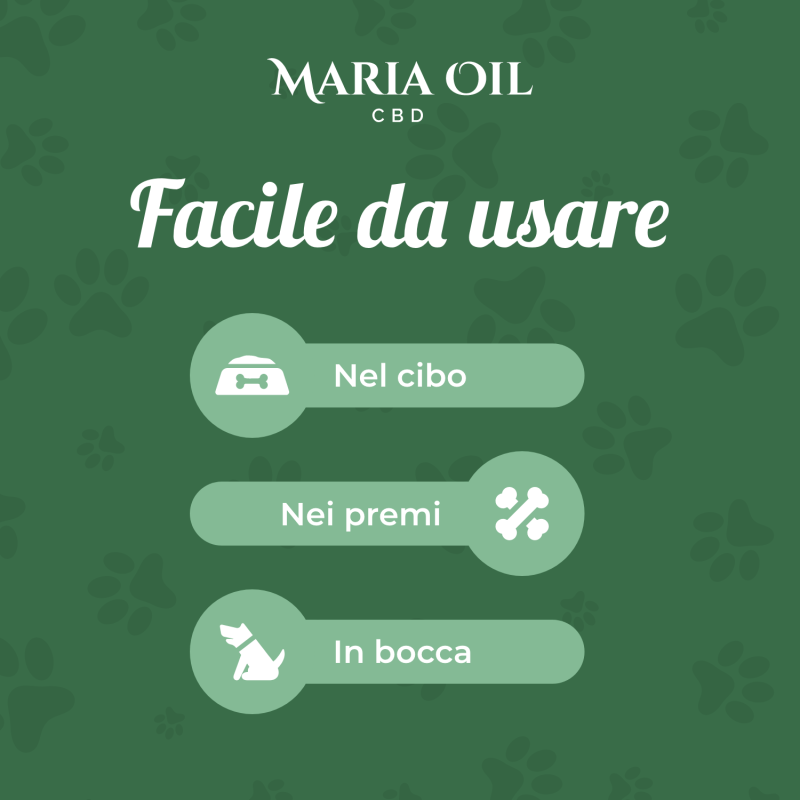 CBD Oil 5% for Dogs - Image 3