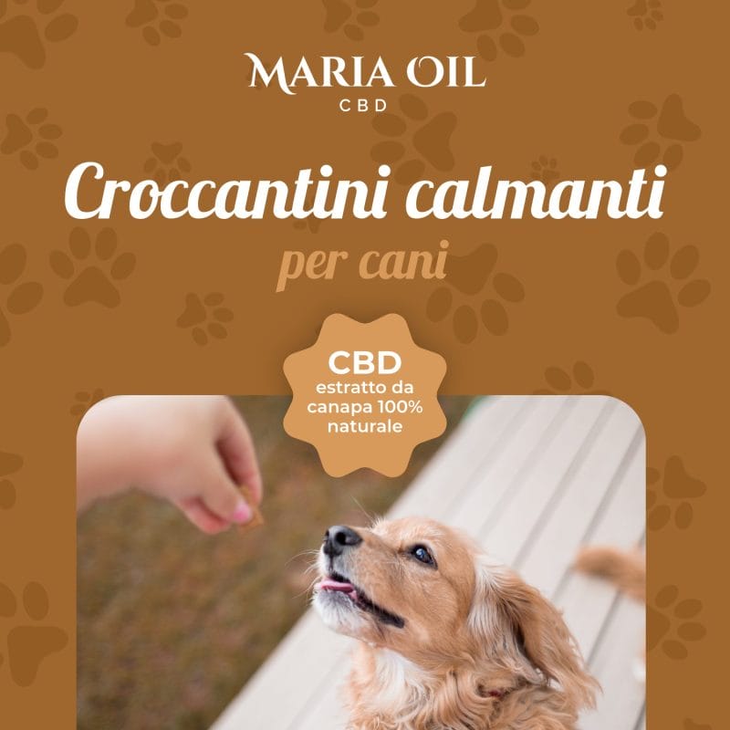 CBD Crunchies for Dogs Chicken and Turkey - Image 3