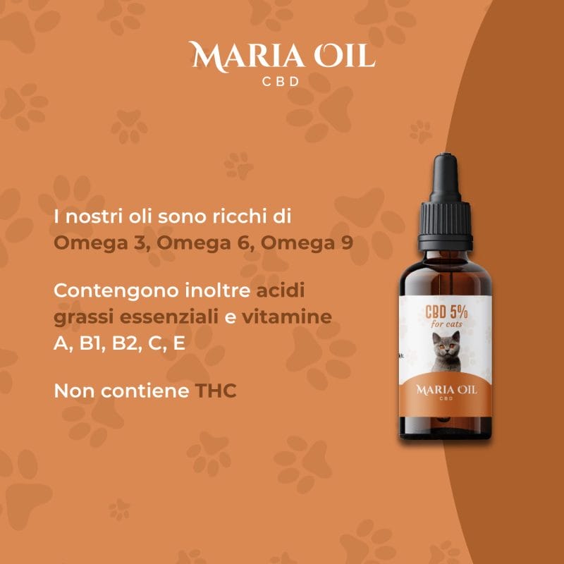 CBD Oil 5% for Cats - Image 4