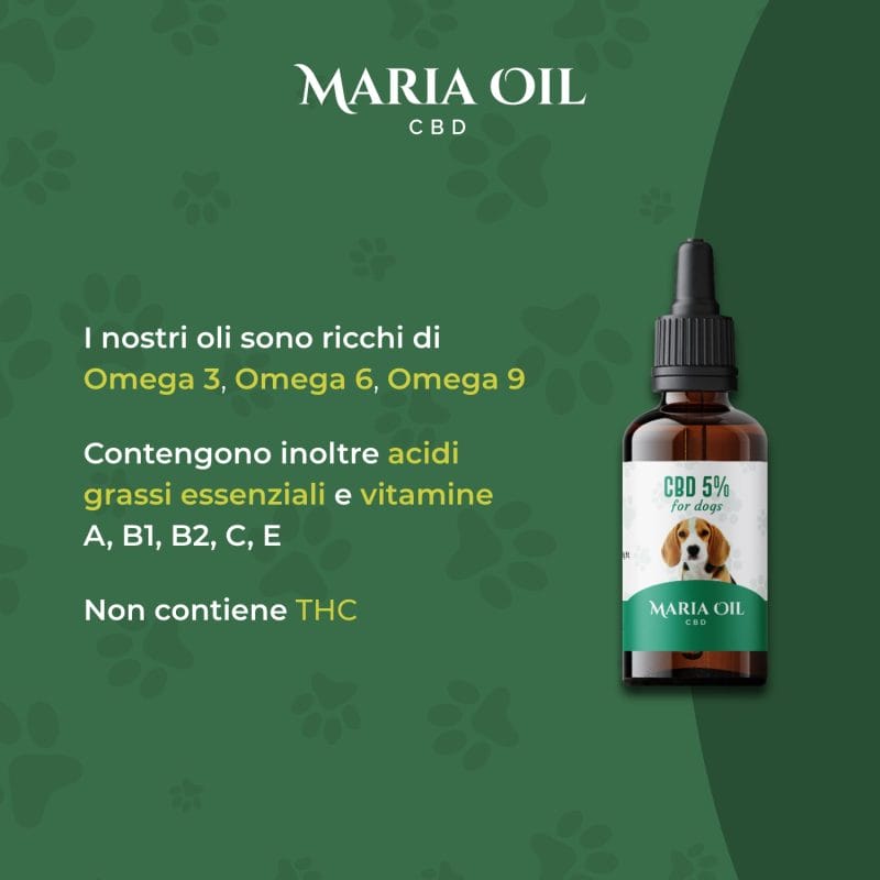 CBD Oil 5% for Dogs - Image 4