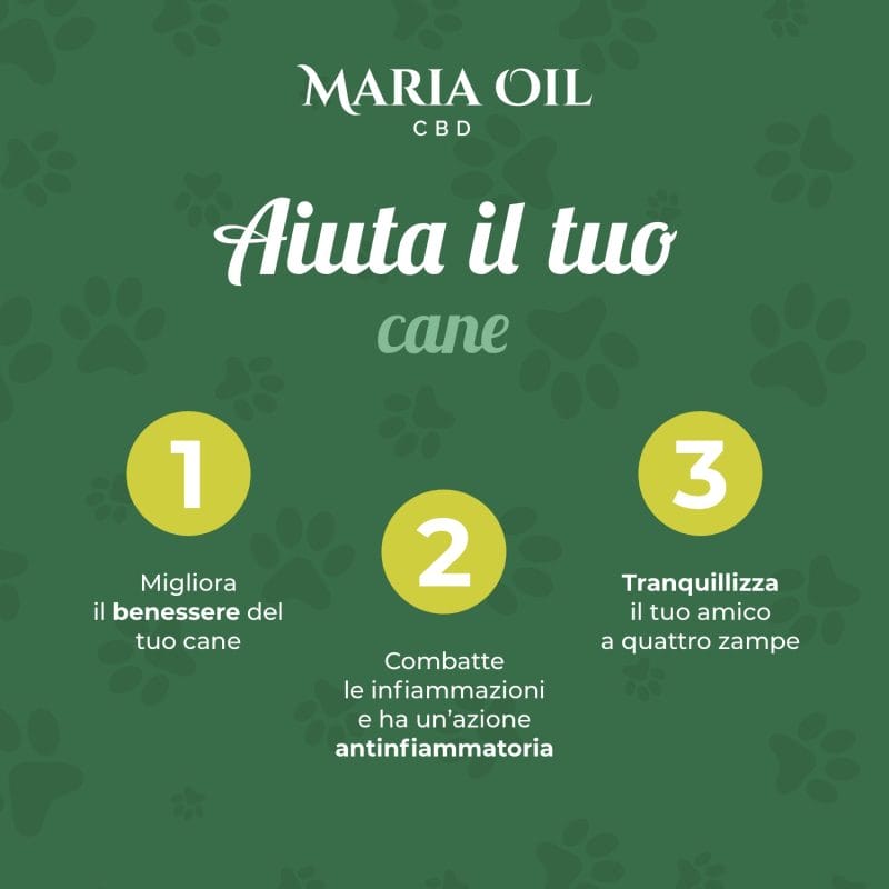 CBD Oil 5% for Dogs - Image 6