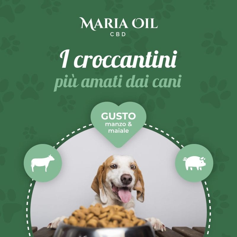 CBD dog kibble with Beef and Pork - Image 6