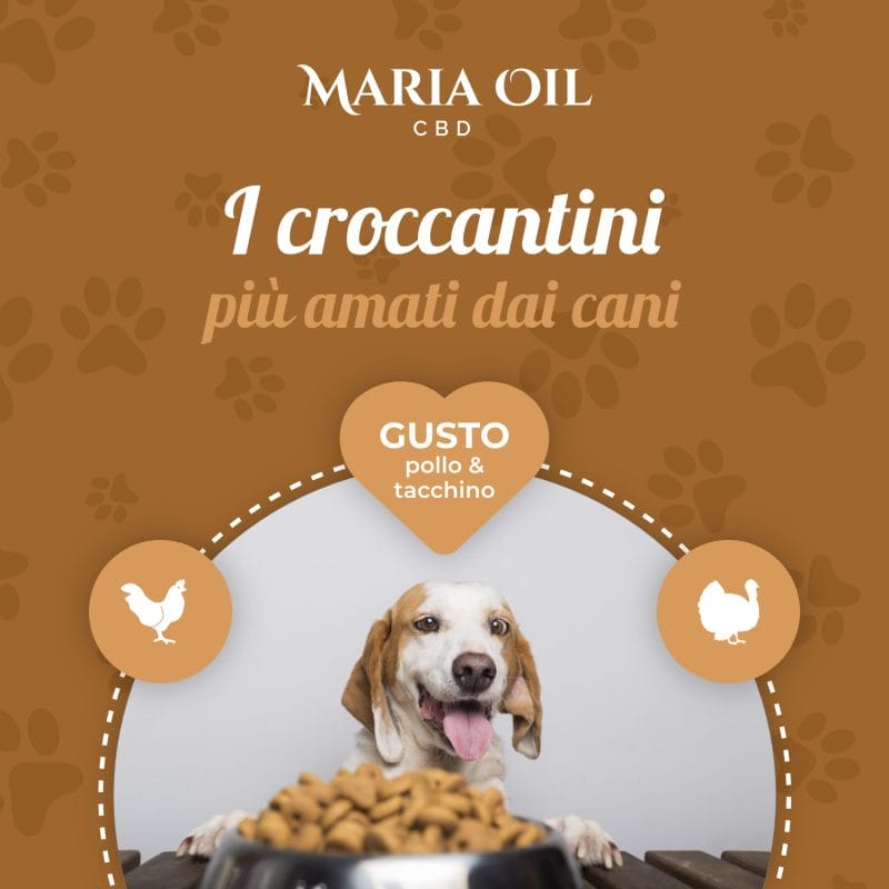 CBD Crunchies for Dogs Chicken and Turkey - Image 6