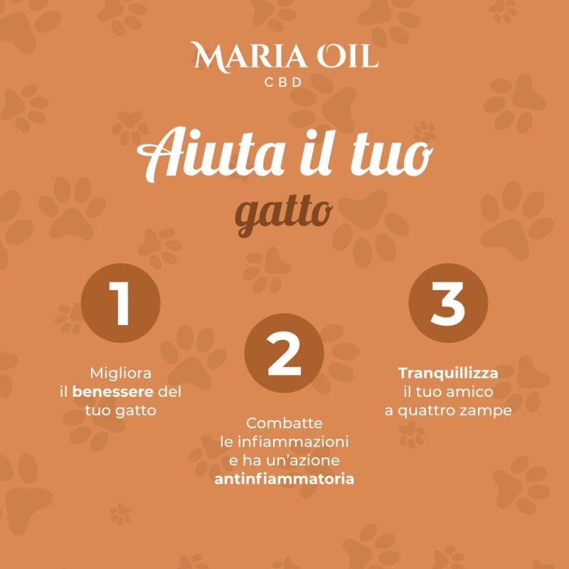 CBD Oil 5% for Cats - Image 6
