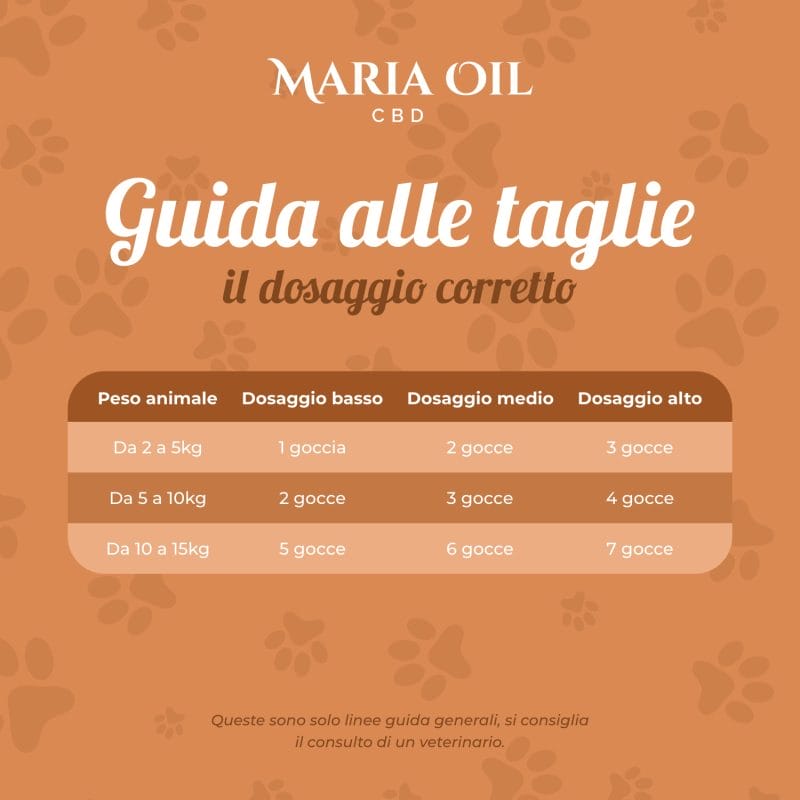 CBD Oil 5% for Cats - Image 7