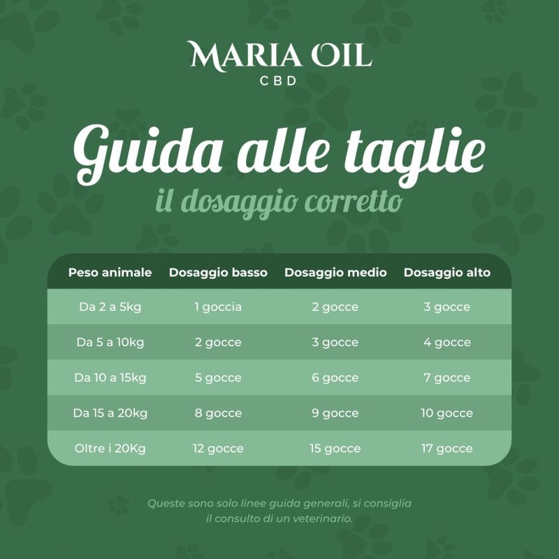 CBD Oil 5% for Dogs - Image 7