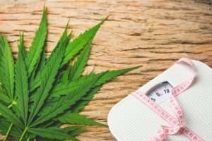 Immagine in evidenza Effetti dimagranti del CBD, finzione o realtà? Stai cercando un modo per perdere peso e hai sentito che il CBD ha effetti dimagranti? Il CBD sembra essere diventato il rimedio naturale a tantissimi dei mali che affliggono la società moderna. È davvero così? Il CBD, il cui nome esteso è cannabidiolo, è un principio attivo prodotto naturalmente dalla pianta di canapa con innumerevoli proprietà. È in grado di far passare dolore e infiammazione, di curare l’insonnia, di migliorare l’umore, calmare l’ansia e lo stress e pare anche che incida notevolmente sull’appetito. È uno degli oltre cento cannabinoidi prodotti dalla cannabis, ma questo si è distinto in particolar modo perché al suo interno racchiude l’efficacia di decine di piante. E sai qual è l’aspetto positivo? Che a differenza del suo simile THC, il CBD non è psicoattivo. Quindi è in grado di trattare molteplici condizioni senza procurare alcuna sensazione di sballo. In questo articolo analizzeremo gli effetti dimagranti del CBD, capiremo meglio perché esiste una correlazione tra questa sostanza naturale e il peso e come può aiutarti a raggiungere i tuoi obiettivi di forma fisica. Scopriamo subito che azione ha sull’organismo umano e come mai si parla di effetti dimagranti del CBD. Relazione tra CBD e gestione del peso La prima domanda che sorge spontanea è: in quale modo il CBD interagisce con il peso corporeo? È presto detto, questo è possibile attraverso il sistema endocannabinoide. È un sistema che possiedono tutti i vertebrati, quindi è proprio sia dell’uomo che degli animali. La scoperta di questo sistema ha permesso agli scienziati di spiegare il funzionamento di tantissime funzioni cognitive e fisiologiche come l’ansia, lo stress, il sonno, il dolore, il movimento e ovviamente anche l’appetito. Il corpo di ciascuno di noi, anche il tuo, produce già naturalmente delle sostanze chimiche simili ai cannabinoidi, chiamate endocannabinoidi. Quando ne produce in quantità sufficiente, tutto funziona come dovrebbe. Ma ci sono delle volte in cui ne produce meno del solito e proprio in queste situazioni puoi notare degli squilibri nel tuo corpo come un’eccessiva ansia oppure difficoltà a dormire. I cannabinoidi, avendo una composizione chimica molto simile, possono compensare questa mancanza. Il CBD, ovviamente, ha questo potere e interagendo con i recettori del sistema endocannabinoide riesce a riequilibrare gli squilibri. Tra i tanti, può interagire anche con il peso che è regolato proprio da tale sistema. Tra l’altro, gli effetti dimagranti del CBD si manifestano in più modi, vediamoli subito. Immagine che indica relazione tra CBD e gestione del peso Il CBD ha effetti dimagranti? Cosa dice la scienza Come dicevamo prima, il CBD ha numerosi effetti oltre a quelli dimagranti. Ciò significa che lavora su questa condizione a più livelli. Prima di tutto, il CBD riduce ansia, stress e depressione che possono causare la fame chimica. Quando sei stressato ti sarai accorto che tendi a mangiare senza controllo dei cibi consolatori che molto spesso ti fanno male e il cosiddetto cibo spazzatura. Ma continuiamo, il CBD trattando l’insonnia ti permette di essere più attivo durante le ore di veglia e questo significa avere più energia e bruciare più calorie. E ancora, lavorando come antinfiammatorio è in grado di ridurre sia infiammazioni estese che localizzate. Molto spesso dove c’è un’infiammazione c’è anche un accumulo di grasso e il CBD può risolvere così due problemi in un colpo solo. Ma, oltre a questo, la scienza ha scoperto anche che il CBD è in grado di agire sul metabolismo velocizzandolo ed è persino in grado di trasformare il grasso all’interno del tuo corpo favorendo così la perdita di peso. Vediamo cosa dice la ricerca in proposito. Il CBD influisce sul metabolismo All’inizio dell’articolo dicevamo che il CBD influisce sul peso poiché interagisce con i recettori del sistema endocannabinoide. I recettori del sistema sono due, il CB1 e il CB2. Una ricerca sull’effetto anti-obesità dell’agonista del recettore CB2 sui ratti (l’agonista è la molecola che attiva i recettori) spiega come il CBD influisca sul peso. Il recettore CB2 è immunomodulatore e svolge anche un ruolo nell’omeostasi energetica. Durante lo studio è stata apportata una stimolazione cronica del recettore CB2 sull’assunzione di cibo, sul peso corporeo e sull’umore. Interagendo con tale recettore, il CBD influisce quindi sul peso. Ma come mai proprio il CBD se ci sono tanti cannabinoidi nella pianta di cannabis? Lo spiega un altro studio sul cannabidiolo e gli effetti sui ratti. È stato il primo esperimento nel quale è emerso il potere del cannabidiolo di aumentare l’alimentazione riducendo l’assunzione di cibo. Nel periodo di prova il CBD ha ridotto il consumo totale del cibo mentre altri cannabinoidi, come il cannabigerolo e cannabinolo, non hanno prodotto effetti rilevanti. Gli studi sono ancora agli antipodi, ne servirebbero altri direttamente sull’uomo. Tuttavia, già questi risultati sono molto incoraggianti e sostengono la tesi degli effetti dimagranti del CBD. Trasformazione del grasso cattivo in grasso buono Il secondo modo in cui il CBD lavora sul peso è bruciando i grassi. Forse non lo sai ma nel tuo corpo ci sono due diverse tipologie di grasso: il grasso bianco e il grasso bruno. Il grasso “cattivo”, se così possiamo chiamarlo, è quello bianco. È proprio quello che si deposita in determinate zone del tuo corpo ed è anche quello collegato a molte malattie, anche gravi, come le malattie cardiache e il diabete. Questo grasso non va bene per il tuo organismo. Dall’altro lato, invece, c’è il grasso bruno che è quello che brucia calorie e genera calore. Questo grasso è proprio delle persone che hanno una costituzione fisica sana, potremmo definirlo un grasso “buono”. Chi ha un peso forma buono, generalmente ha più grasso bruno che grasso bianco. L’organismo è già in grado in una certa misura di convertire il grasso bianco in grasso bruno e puoi vederlo tu stesso nelle persone molto sportive. Questa trasformazione è infatti possibile svolgendo attività fisica, così come dormendo per un giusto quantitativo di ore. Come centra il cannabidiolo in tutto questo? Uno studio ha dichiarato che il cannabidiolo favorisce l’imbrunimento. In particolare, sembra che il CBD lavori su due fronti: da una parte ha un ruolo modulatorio del fenotipo bruno e dall’altra parte promuove il metabolismo lipidico. In conclusione, in CBD può aiutare nella prevenzione dell’obesità. Il CBD fa sentire maggior senso di fame? Finora abbiamo quindi capito che attraverso il CBD è possibile velocizzare il proprio metabolismo e bruciare i grassi cattivi presenti all’interno del tuo organismo per farti perdere peso. Ma è sempre così? Navigando sul web potrebbe esserti capitato di leggere che a volte il cannabidiolo può innescare l’effetto opposto. Ciò significa che invece di far passare la fame potrebbe aumentarla, e questo sarebbe un bel problema. La domanda quindi è: con il CBD si rischia un aumento di peso? I risultati visti finora rimangono, ciò significa che il più delle volte il CBD ha effetti dimagranti. Tuttavia, in alcune ricerche è emerso un effetto collaterale che è proprio quello dell’aumento di peso. Uno studio trasversale sui consumatori di cannabidiolo ha preso un campione di oltre duemila persone che hanno utilizzato il CBD per il trattamento di condizioni come dolore, ansia, depressione e disturbi del sonno. Una piccola percentuale di questo campione, più precisamente il 6.35%, ha manifestato come effetto avverso l’aumento di fame. Altro sono stati invece la bocca asciutta, l’euforia, gli occhi rossi, lo stordimento e altri. I risultati sono quindi contrastanti, tuttavia è bene sapere che i rari effetti collaterali che sono emersi durante le diverse ricerche degli scienziati si sono manifestati a causa di interazione con altri farmaci o in correlazione alla genetica del singolo individuo. Assumere olio di CBD per dimagrire Nonostante i test sugli effetti dimagranti del CBD siano ancora in corso, ciò non toglie che abbia un enorme potenziale terapeutico. È un prodotto naturale che comporta pochi, se non inesistenti, effetti collaterali se assunto nelle corrette modalità. Un prodotto estremamente versatile è proprio l’olio di CBD. Se vuoi provare le gocce di olio di CBD per dimagrire e integrarle nella tua dieta puoi: Assumerle per via orale: l’olio di CBD può essere facilmente assunto posizionando qualche goccia direttamente sotto alla lingua e trattenendola per 60 secondi prima di deglutire; Aggiungerle a cibi e bevande: puoi aggiungerlo a un frullato, già pensato per drenare o per aiutarti a perdere peso e amplificarne così l’azione, oppure a uno dei tuoi cibi preferiti. Puoi trovare l’olio di CBD in diverse formulazioni e concentrazioni. Se è la tua prima volta con questo prodotto ti consigliamo di iniziare con un 5% di principio attivo e un dosaggio basso, per poi aumentare progressivamente se lo ritieni opportuno. Prodotti legali al CBD che aiutano nella gestione del peso I prodotti a base di CBD possono quindi essere per te una fonte inesauribile di benefici. Puoi testarli per dimagrire ma poi scoprire anche che ti aiutano a riequilibrare tutto il corpo e a donarti un senso di benessere. Se scegli le versioni broad (senza THC) e full spectrum (con THC) dell’olio di CBD godrai anche del beneficio di tutte le altre sostanze naturali prodotte dalla pianta di canapa come le vitamine, i minerali, le proteine, i terpeni, i flavonoidi e tantissime altre ancora. Queste formule realizzano l’effetto entourage, quindi un’azione ancora più potente di quella del cannabidiolo preso singolarmente. Visita subito il nostro store dove troverai l’olio di CBD in diverse concentrazioni e tantissimi altri prodotti interessanti con cui integrare la tua dieta per perdere peso e mantenerti in salute.