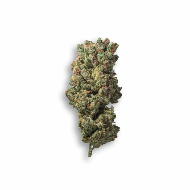 Amnesia PRO cannabis bud