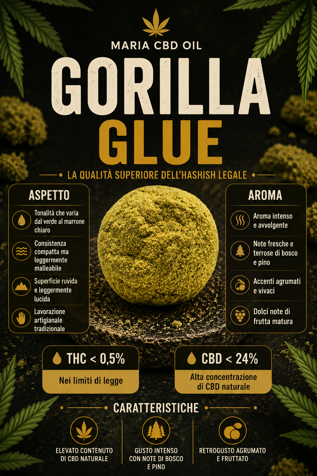 Gorilla Glue Dry Hash | Legal Hashish - Image 2