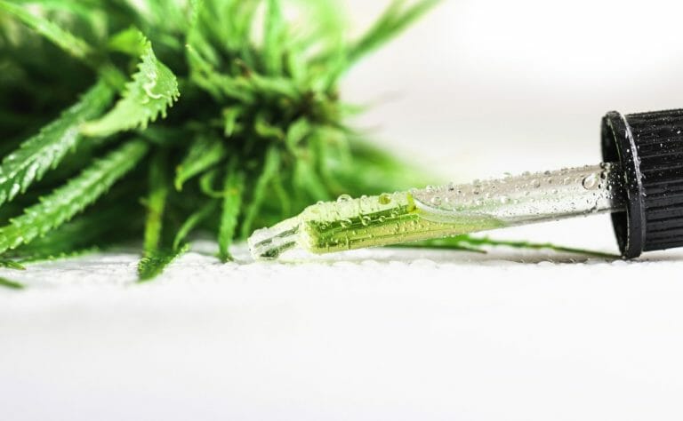 come si estrae il cbd dalla canapa