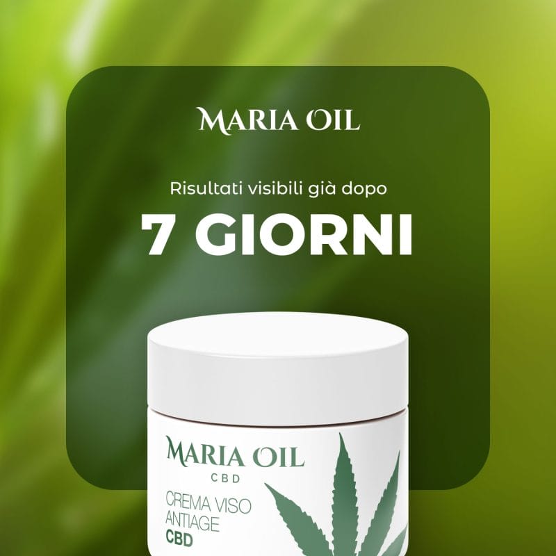 CBD Anti Ageing Face Cream - Image 4