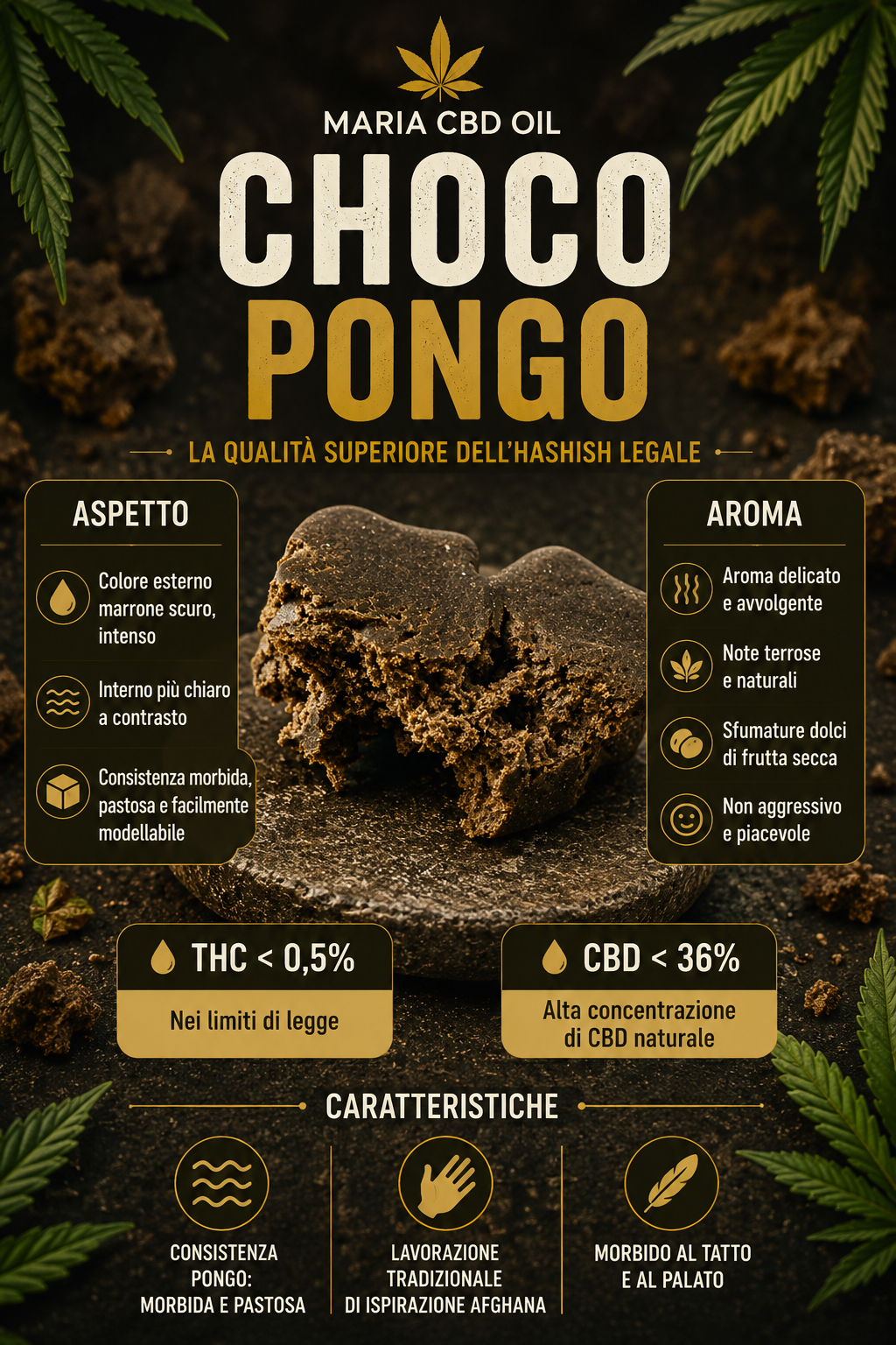 Choco Pongo - Image 2