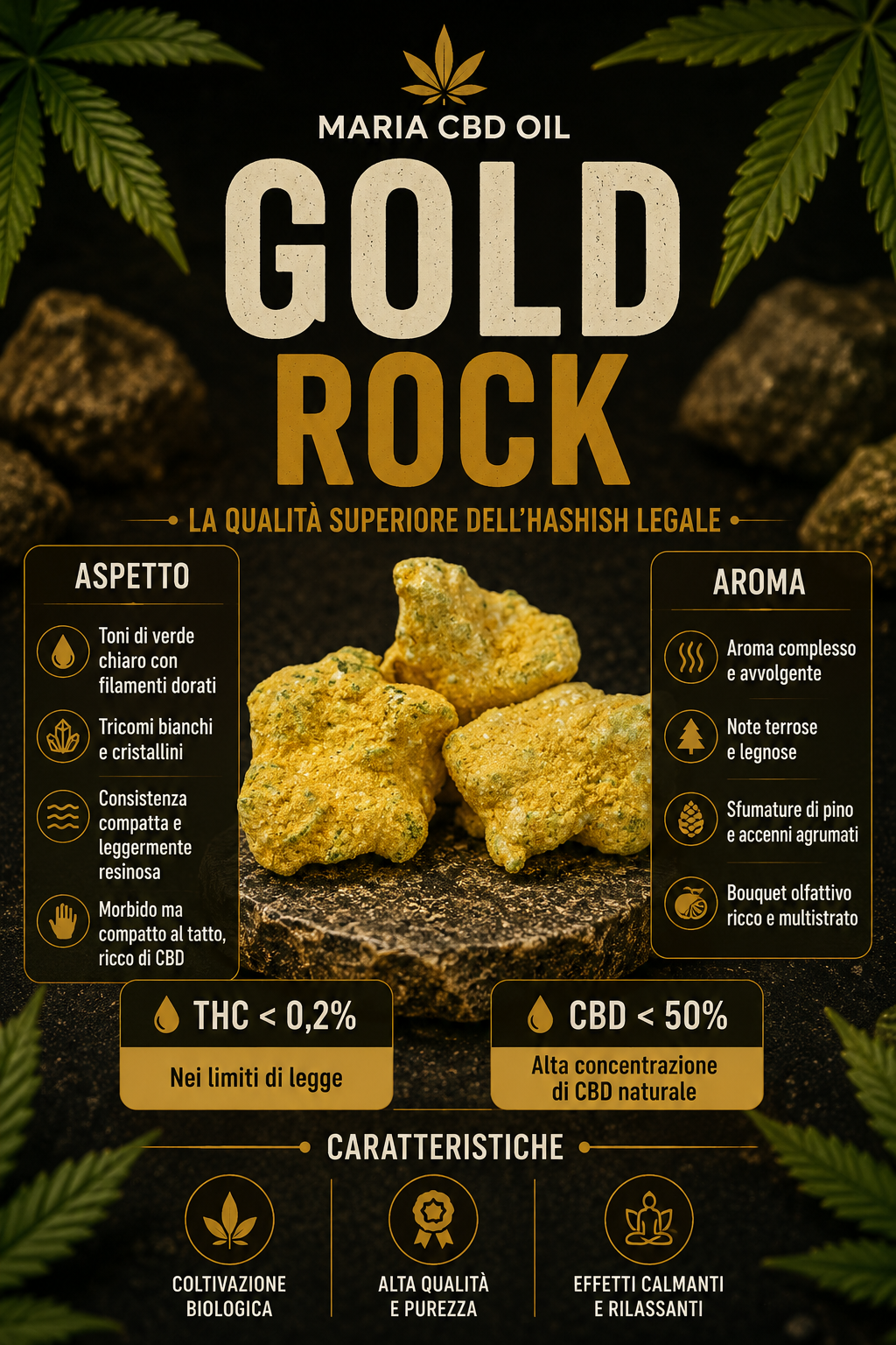 Gold Rock - Image 2
