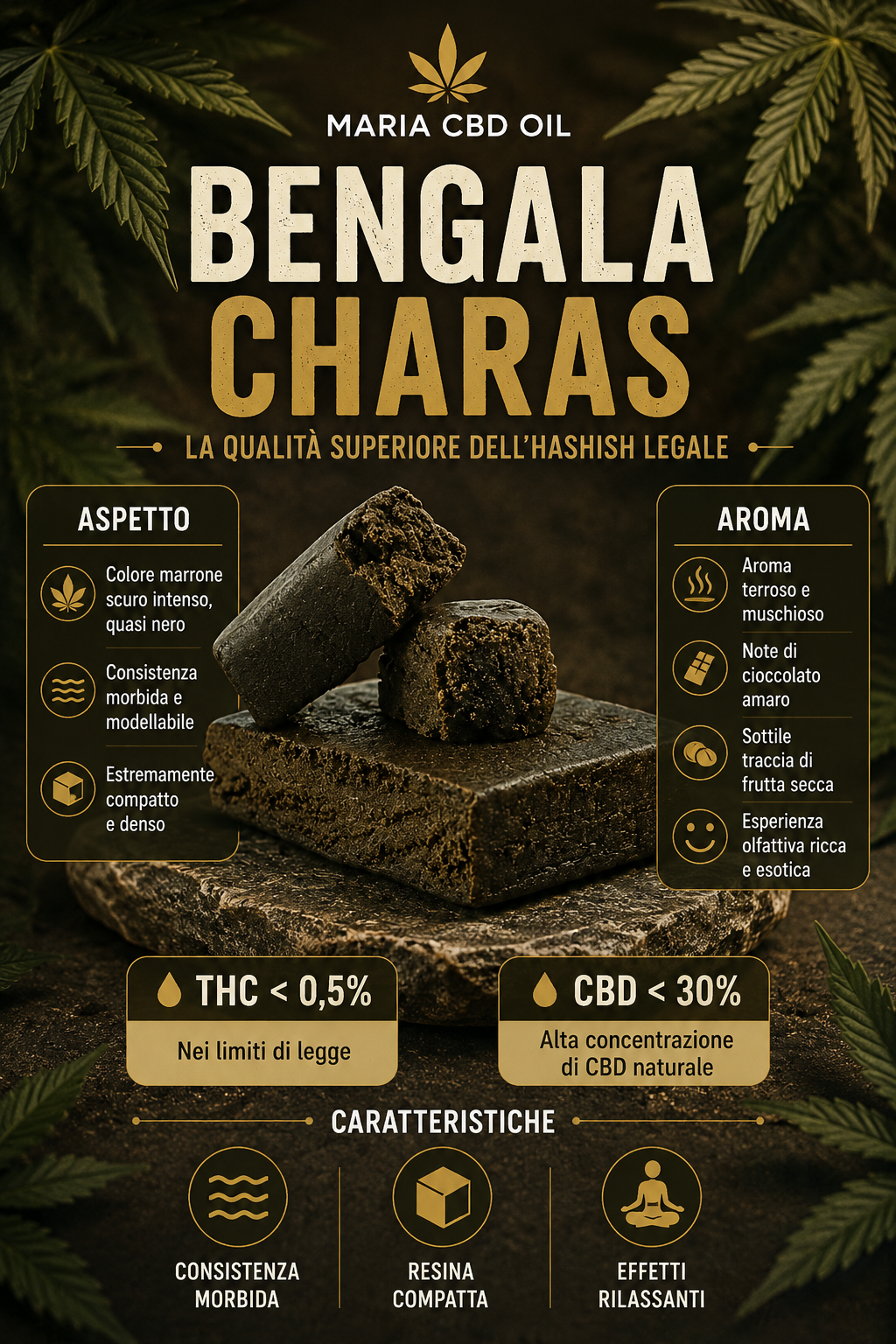 Bengal Charas - Image 2
